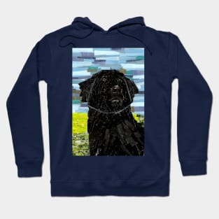 Newfoundland Dog Collage Hoodie